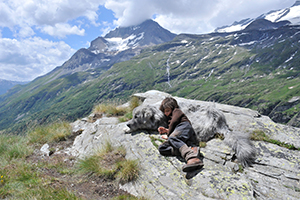 ベルとセバスチャン